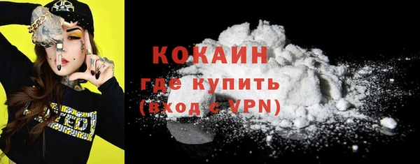 PSILOCYBIN Белокуриха