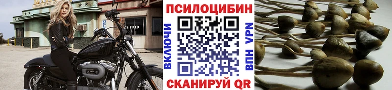 OMG зеркало  Ульяновск  Галлюциногенные грибы мицелий 